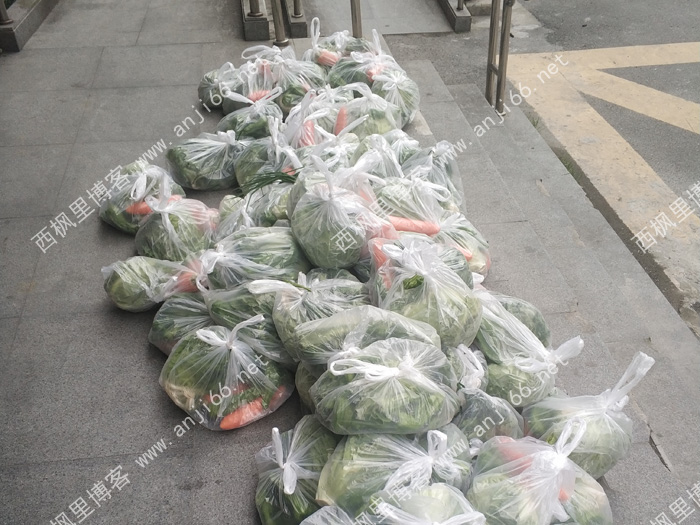 魔都魔幻生活——我的抗疫经历