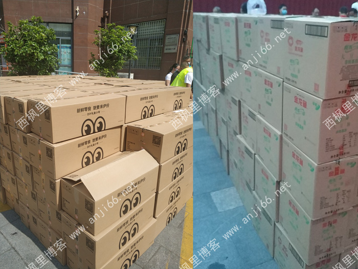 魔都魔幻生活——我的抗疫经历