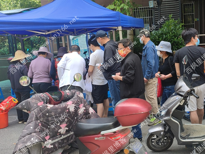 魔都魔幻生活——我的抗疫经历