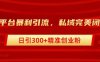 跨平台暴力引流，私域完美闭环，日引300+精准创业粉