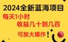 小白有手就行的2024全新蓝海项目，每天1小时收益几十到几百，可放大操作