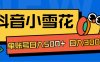 抖音小雪花项目，单账号日入500+ 日入3000+