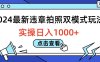 2024最新违章拍照双模式玩法，实操日入1000+