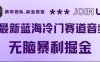 最新蓝海冷门赛道音频，无脑暴利掘金
