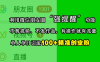 借助微信朋友圈的 “强提醒” 功能，能够为你引来精准的创业粉。在这个过程中，无需剪辑视频，也不用发布作品，只要你按照操作执行，流量就会源源不断，单人单日引流创业粉可达 100 +。
