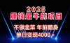 2025年赚钱最牛的项目 不做韭菜 年前翻身