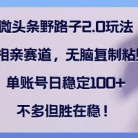 微头条进阶野路子 2.0 之相亲赛道秘籍大公开！纯靠无脑复制粘贴，单个账号每日稳稳入账 100 元 +，收益虽并非巨额，但贵在稳定持续，开启微头条创富新路径，轻松小赚不停歇！
