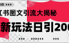 小红书图文引流，只需一张图片即可撬动百万流量，日引200+创业粉