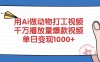 用Ai做动物打工视频，千万播放量爆款视频，单日变现1000+