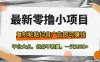 最新零撸小项目，复制粘贴抖音广告即可赚钱，平台大水，任务不限量，一天1000+