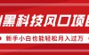 AI黑科技风口项目，视频号全新爆款玩法，新手小白也能轻松月入过万