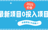 最新项目 0成本项目，小说推文&短剧推广，网盘拉新，可偷懒代发