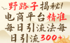 野路子揭秘！电商平台每日引流300＋独家揭秘详细流程！