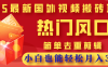 2025最新国外视频搬砖项目，热门风口，简单去重剪辑，小白也能轻松月入3W+
