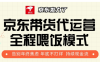 京东带货代运营，打工人翻身逆袭项目，小白有手就行，月入8000+