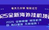 2025最新海外挂机项目 日入500➕