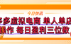 拼多多虚拟电商 单人单店操作 可批量操作 每日盈利三位数