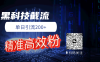 黑科技玩法 精准高效 日引200+
