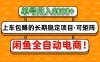 闲鱼全自动电商，月入6000+，上车包赚的长期稳定项目【可矩阵放大】