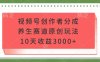 视频号创作者分成，养生赛道原创玩法，10天收益3000+