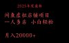 2025年度最新闲鱼虚拟店铺项目一人多店 小白轻松月入20000+