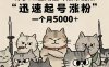 即梦AI生成猫咪黑帮视频，迅速起号涨粉，一个月5000➕