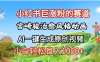 抖音、小红书、视频号、宫崎骏风格动画制作，一键生成流量暴涨，轻松日入1000+