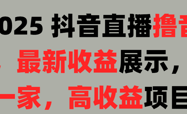 2025 抖音直播撸音浪，最新收益展示，只此一家，高收益项目！