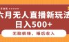 六月无人直播新玩法，无脑躺赚睡后收入，日入500+