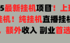 2025上班也能挂机！24小时！纯挂机直播挂机撸金！