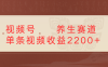 视频号 中老年 养生赛道单条视频收益2200+