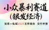 楠—小众暴利赛道（银发经济）实体+私域2025王炸组合  交付手册